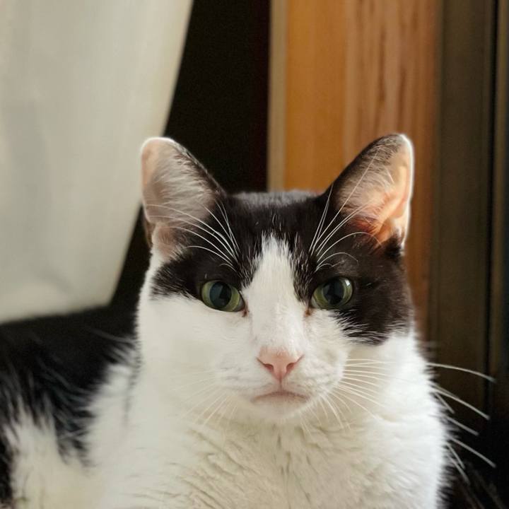 Cddbbe21 5f22 4a47 a0f4 381282ee0d54 1631584857285