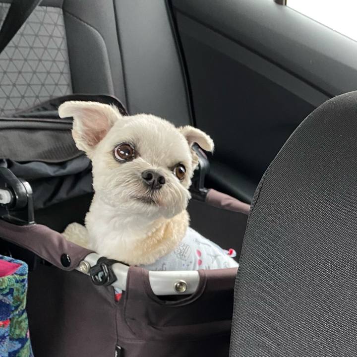 Cddbcea3 9232 481b 9f9c b49cc71cecc7 1650012704806