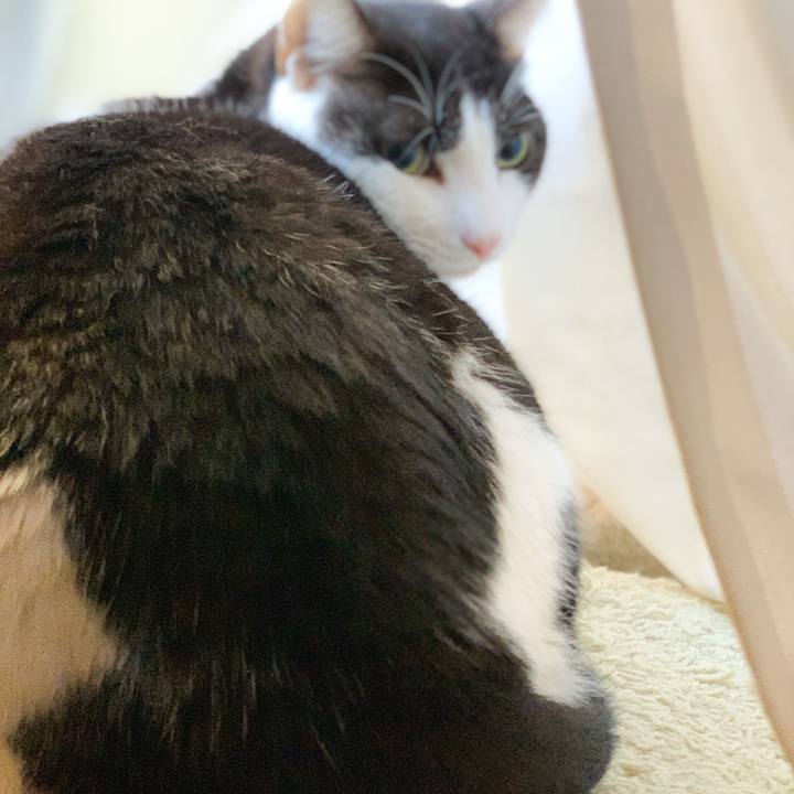 Cddbdfb6 4906 4629 b1fb f02236f58902 1574042140052