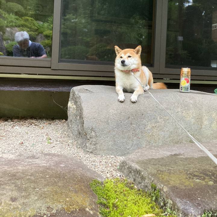 Cddc121b ce14 4336 8fde 89f9e3a5a590 1693825364724