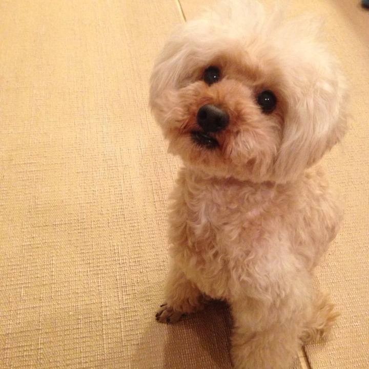 Cddc1c0e 1721 4317 a5da f26b3e1cdade 1764471704153