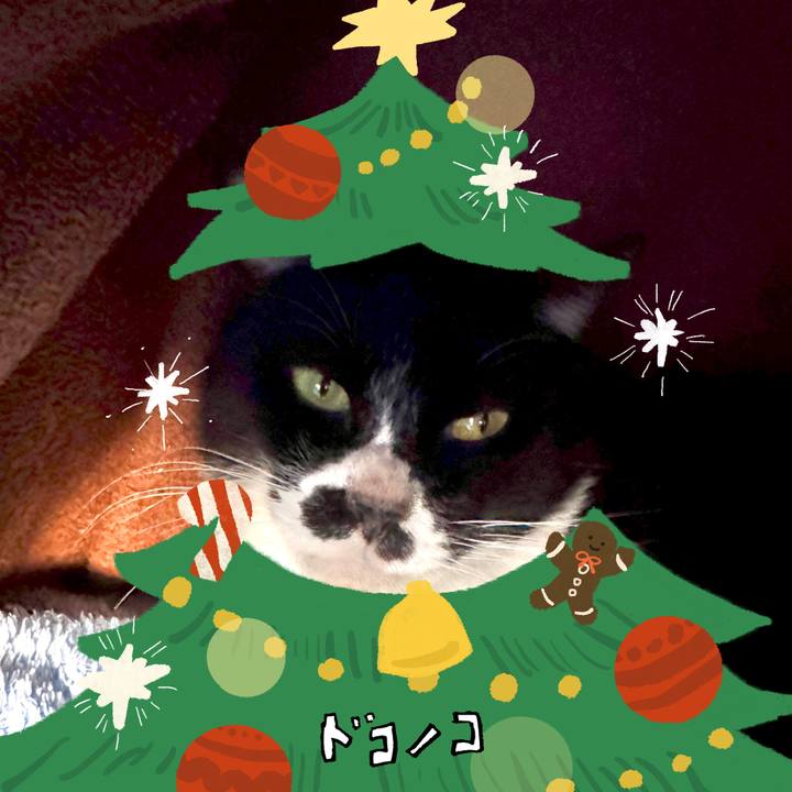 Cddc255a 4a59 48cb 8e08 b7d997233fa3 1762495966953