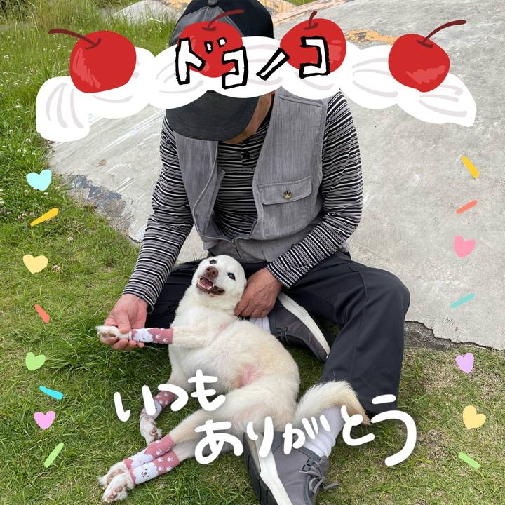 Cddc675e a4b8 4e89 bc35 a4ca4eb1f489 1685969173320