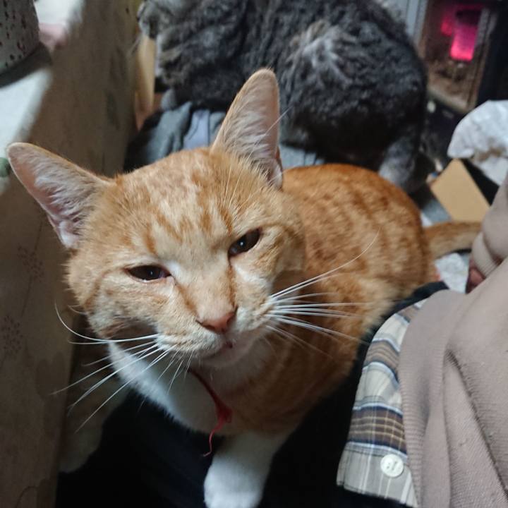 Cddc91bb 83d9 40b3 90d4 74e2a858a289 1574421452639