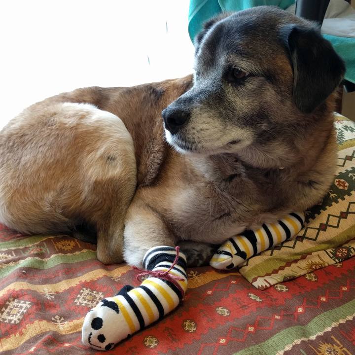 Cddc9497 d4a8 4359 a286 806e6b0d186a 1520208783402