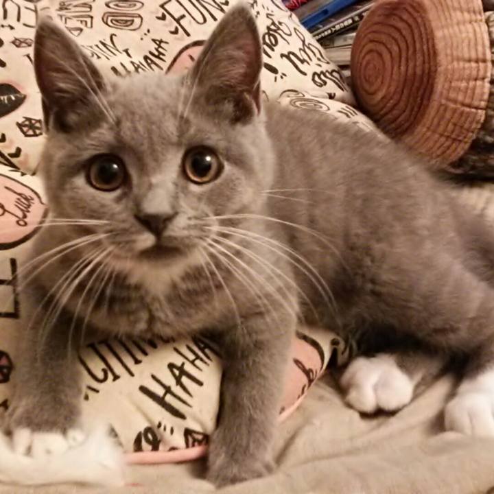 Cddc98cd 8a77 4d83 8ad1 c9c24dfd0661 1533075981407