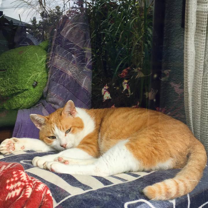 Cddcb41f f746 49d9 a50a 99722afb9fa0 1600328766651