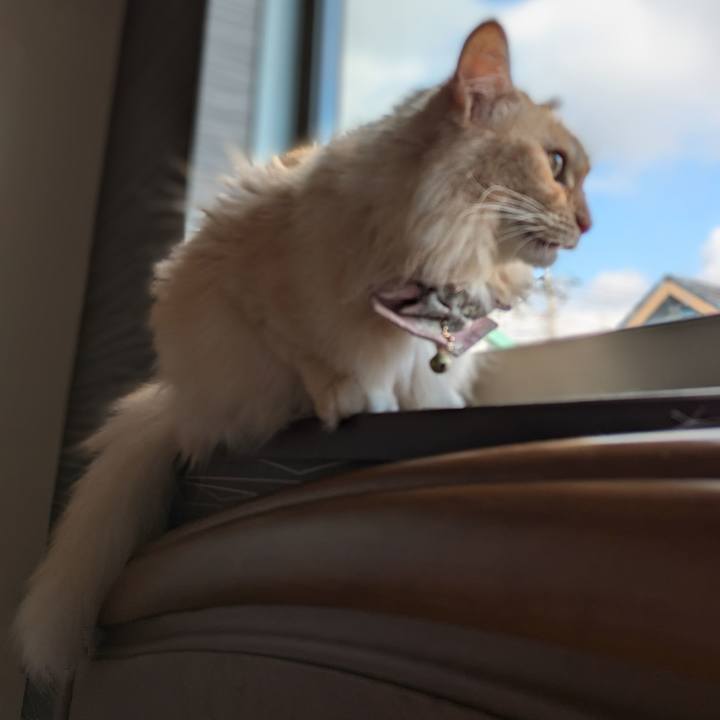 Cddcba7a 8e8f 4cca 8438 486eab5046d8 1726281713657