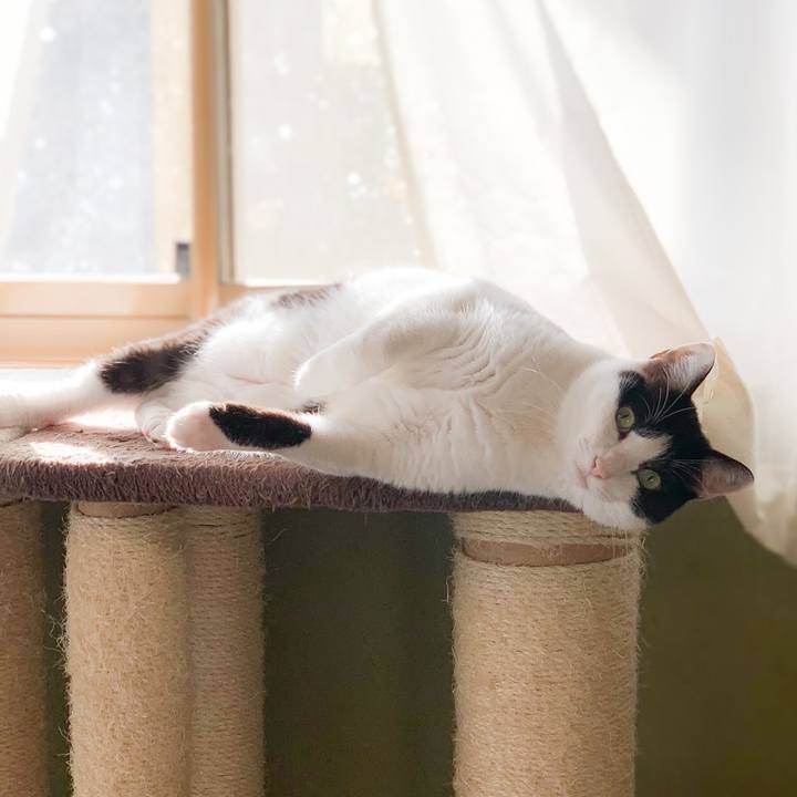 Cddcc5cf ea7c 4902 b223 189429610c44 1575773945611