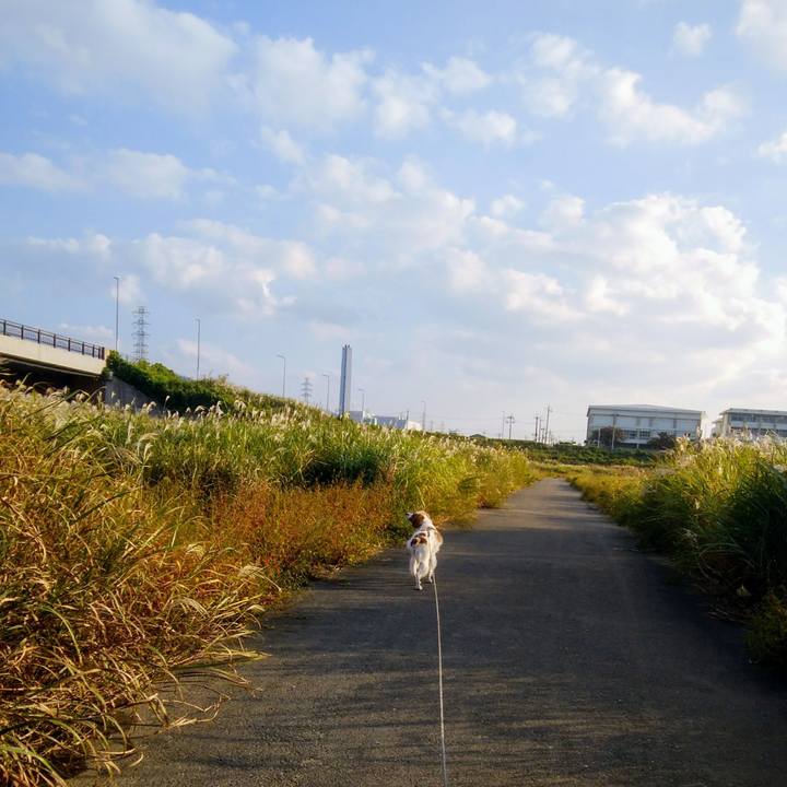 Cddcd300 0d8b 4001 b93a ce44877a61c4 1540381252269