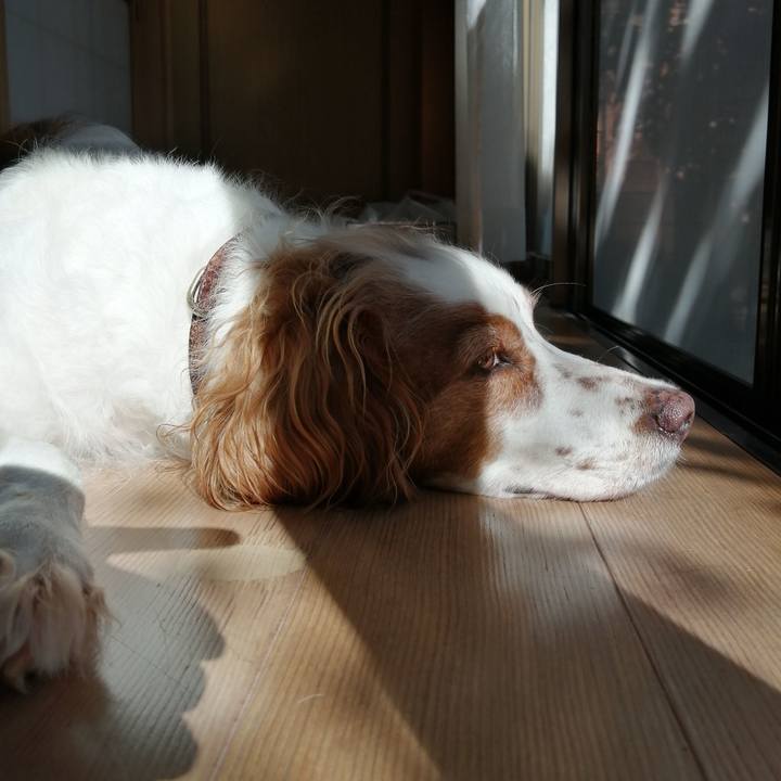 Cddd1153 b3dc 442d 9702 43a9fbe5c12e 1632031379600