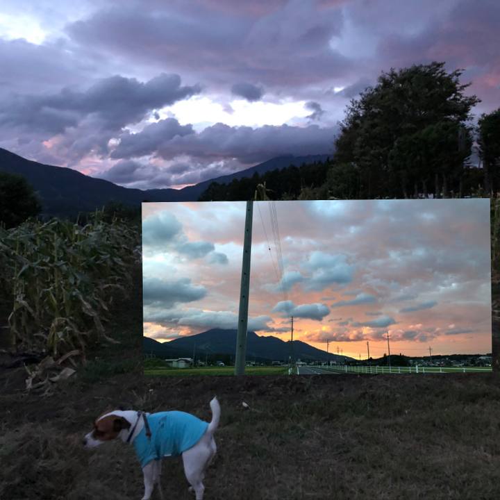 Cddd26c0 e6ae 433d ace7 5c184f9c7a67 1599481684834