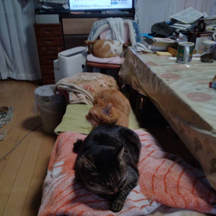 Cddd5537 9204 4136 afdc 2e01d61b903c 1735367159711