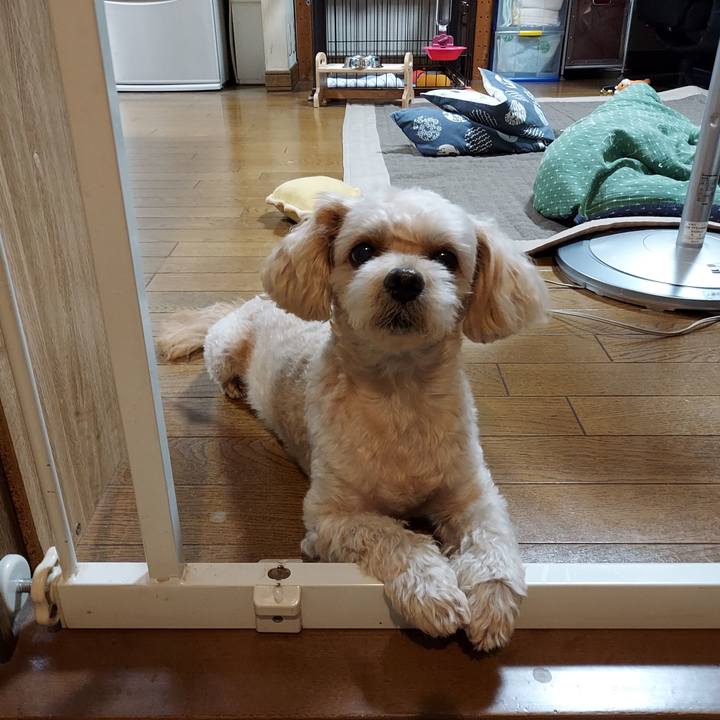 Cddd594b 1129 4c2e bdc0 0197430df1d6 1631181654834