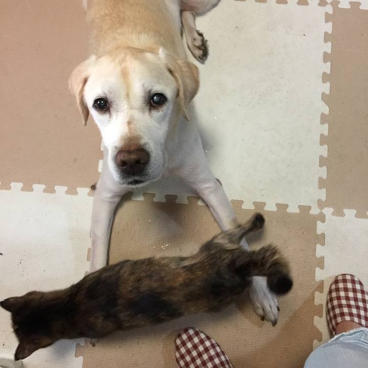 Cddd6a98 844f 4939 8800 e769d1a40ec1 1663850468337