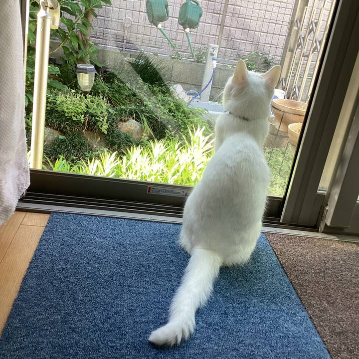 Cddd7157 81dc 4bbd 9a36 487ec582bef9 1653779657518