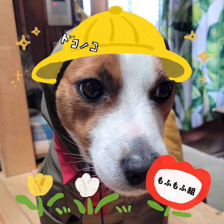 Cddd7850 aa1f 45f9 879c 42b14beacc0a 1712209181044