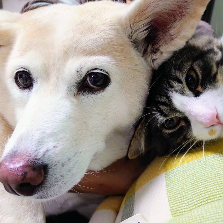 Cdddb980 2ab5 4e4e 9993 ec756501ea12 1638989752262