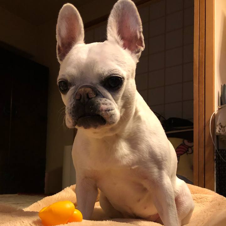 Cdde1f11 dd40 496d ae30 786b03f288bf 1676984718861