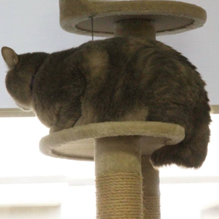 Cdde204c 7096 46a3 9754 160cdb393f95 1604462872925