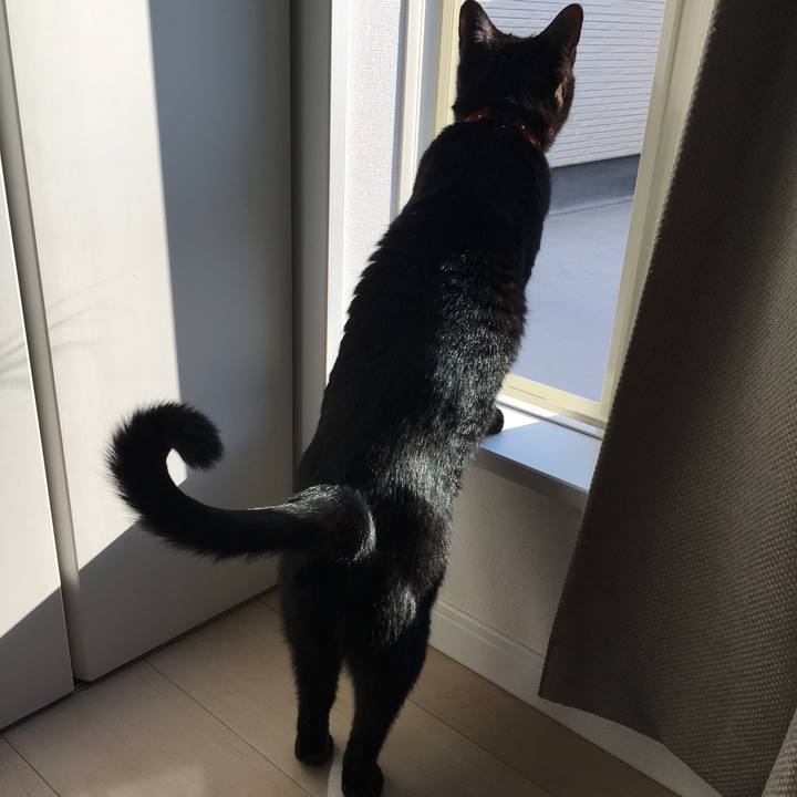 Cdde3fe3 7a4c 43ad a7c7 fb011149c5ce 1553035746048