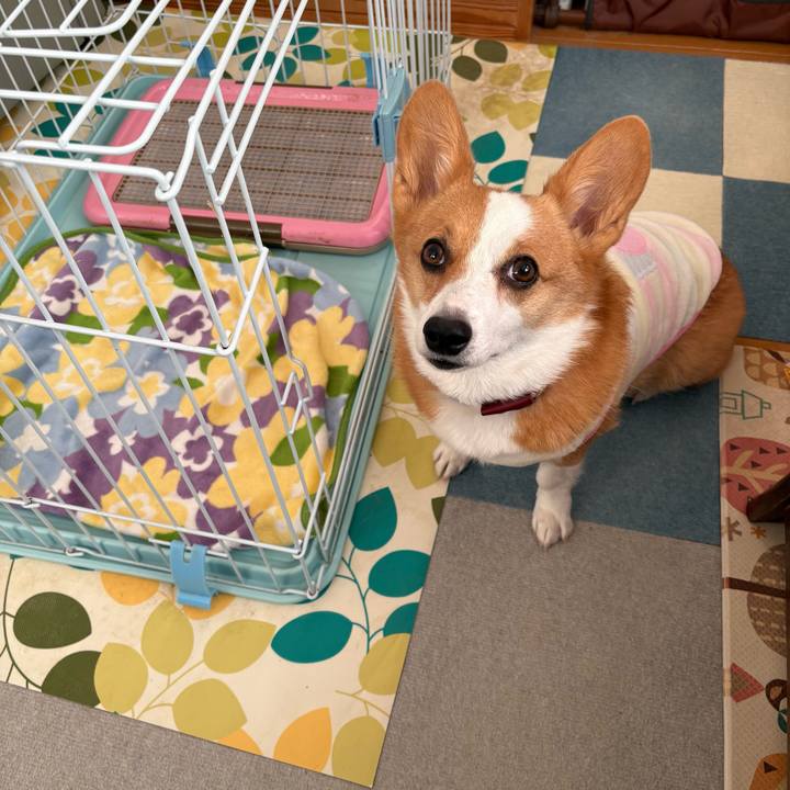 Cdde5b3e a661 4e5a 99ac 6562627c1a04 1767681646480