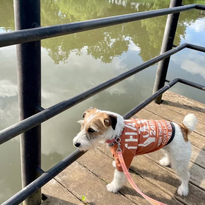 Cdde5de5 dcf9 4476 8fe5 a97f7a8f2d62 1653295454338