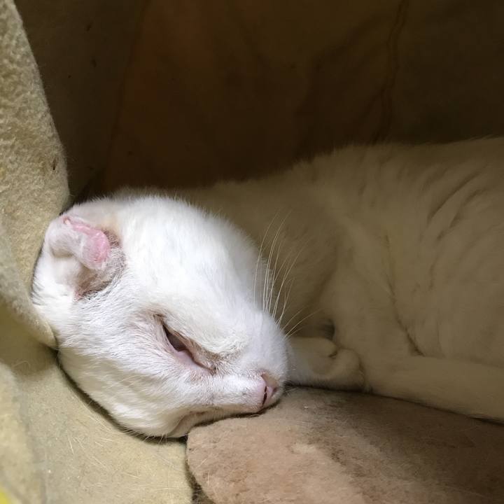 Cdde7d48 778c 4dc4 a6a8 13a11e110069 1507977655239