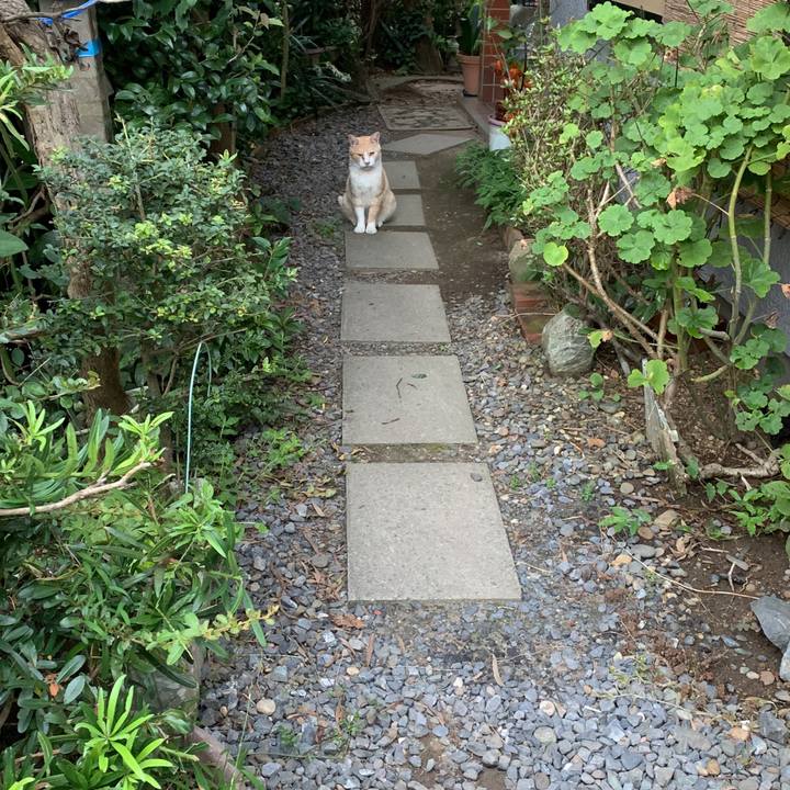 Cdde9442 481b 428c b5ce d19642d1c4de 1567327076014