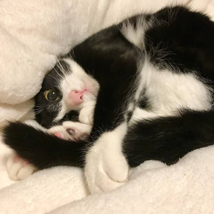 Cddeaedc abd3 4e7d 96ea 3c3f5c54fe65 1519906882151