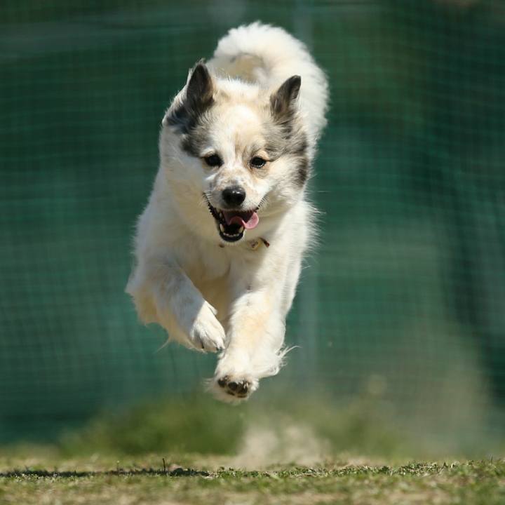 Cddec131 629c 4fe3 90fd b58e6b5286db 1523234247277