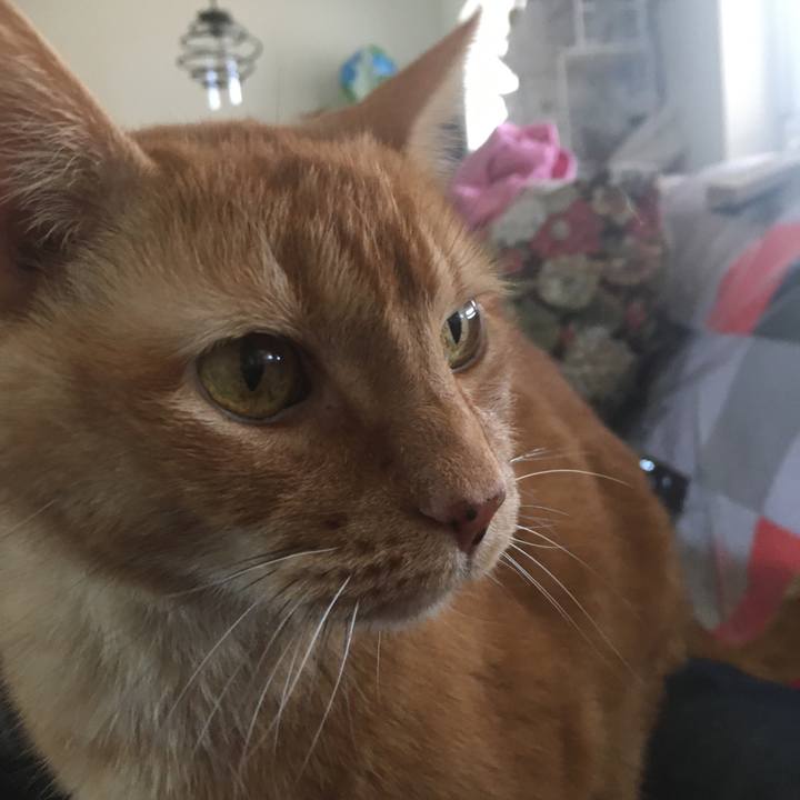 Cddec768 6f14 40a5 982a 9d7803db314d 1674279524542