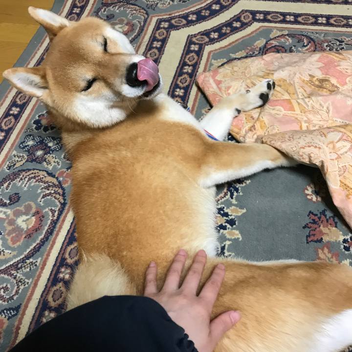 Cddee062 c99c 4dae a402 ae3009b44faf 1523870988350