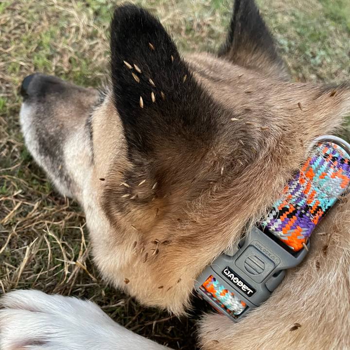 Cddeeb25 3929 4966 ae14 2c98e575aa87 1709036156425