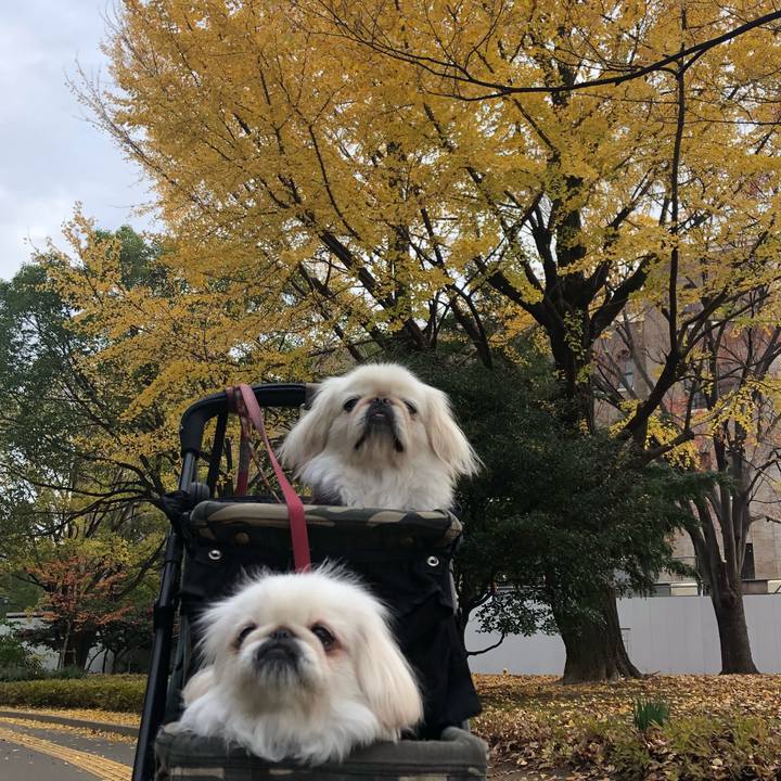 Cddf7cc4 14fd 4f77 9ea3 8e8936e8cf2c 1543618609331