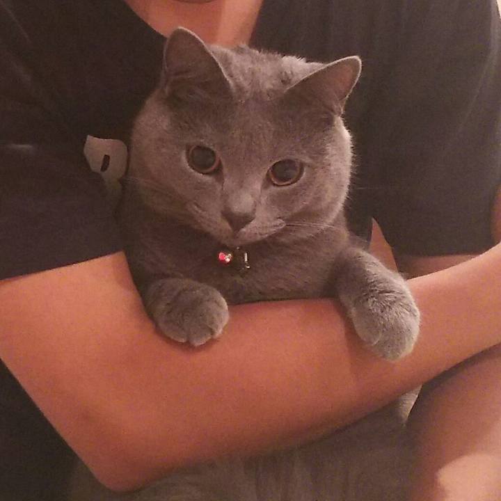 Cddfad2f 3dba 4e4c 87e4 29355ad93d66 1533558368633