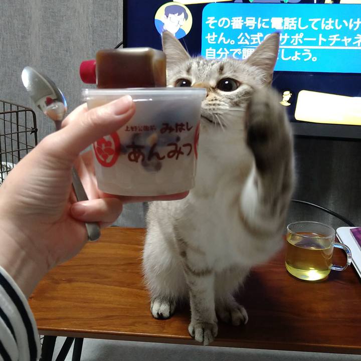 Cddfc036 eb0a 4f98 be54 aeb5dfeb0f12 1669378295412