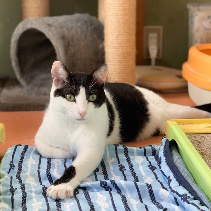 Cddfc835 4034 4c5e 928a c2999fc14c24 1572747847603