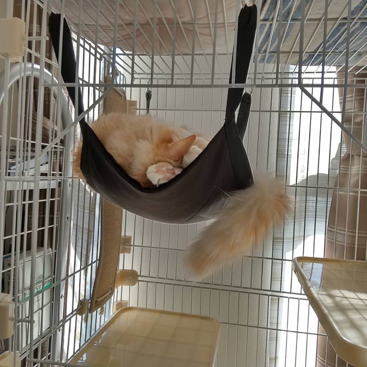 Cddfd8c7 7b44 403a a0b0 cec03f8cc12e 1636773188521