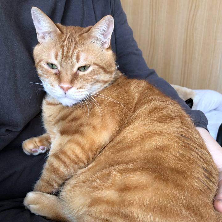 Cddfda3f 8810 4048 aaf9 b365c6bd7578 1614985587950