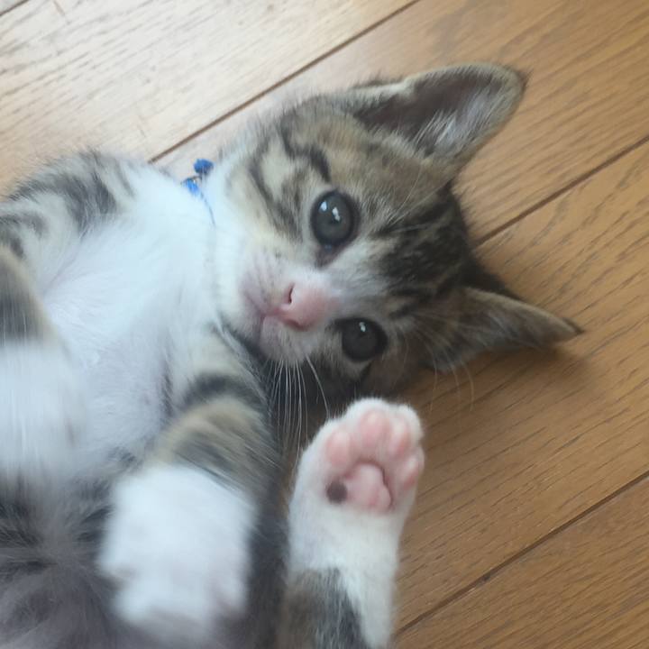 Cde043ee f448 4a49 bc78 06d26b14c920 1652664007162