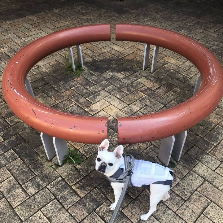 Cde062b5 39d7 4661 8910 8ec90ba0d77d 1679226951018