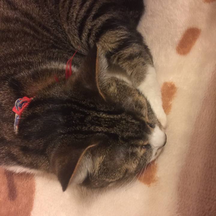 Cde06437 fa5e 4de1 a9f6 bb20403a1888 1558450873015