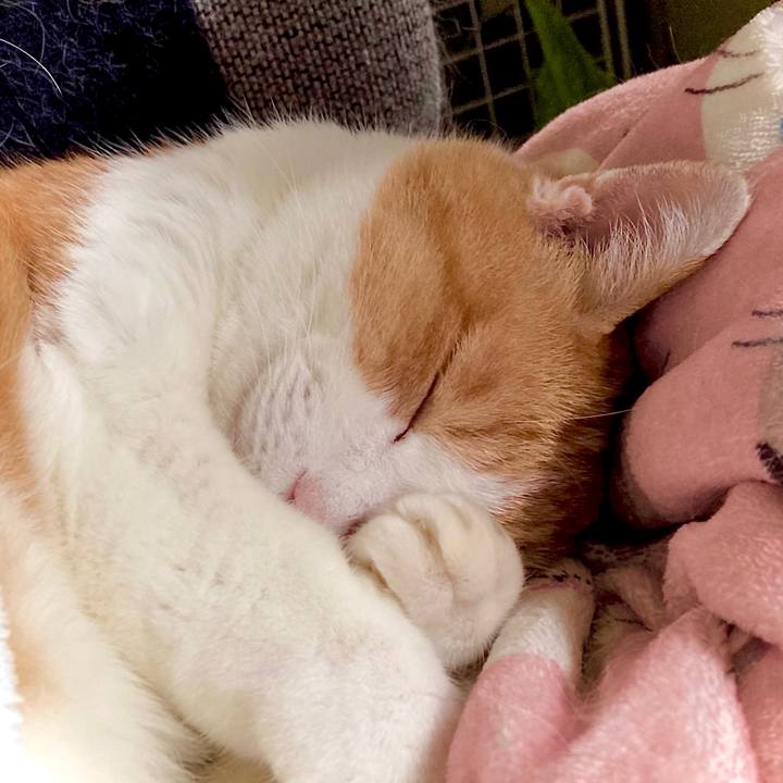 Cde0656f 558c 47f6 b1b5 65d18a983707 1674559410412