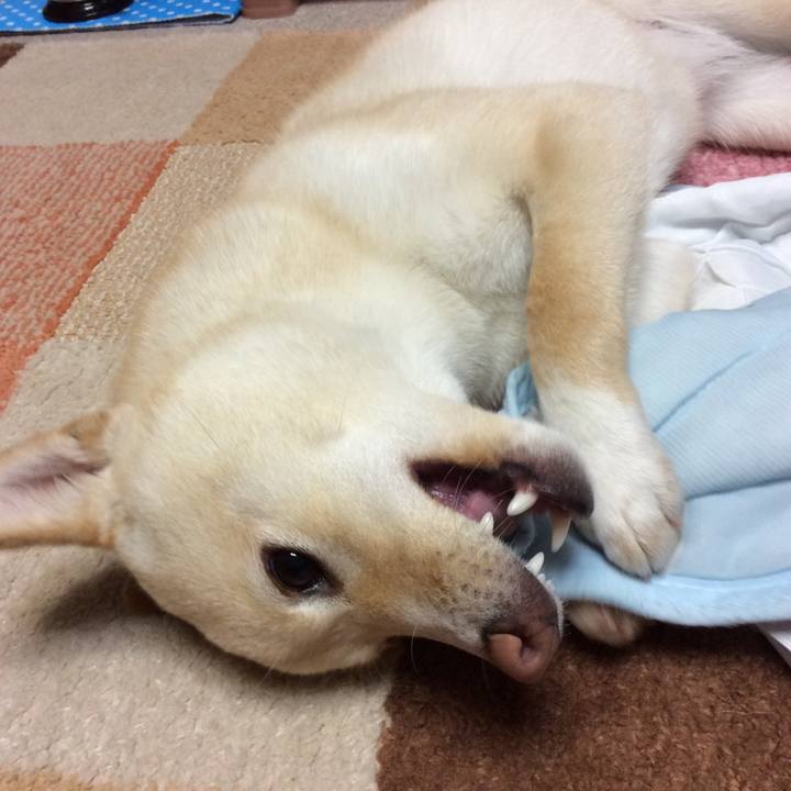 Cde08fca 153b 4ef3 bbcc 0bb06a795baa 1516406174568