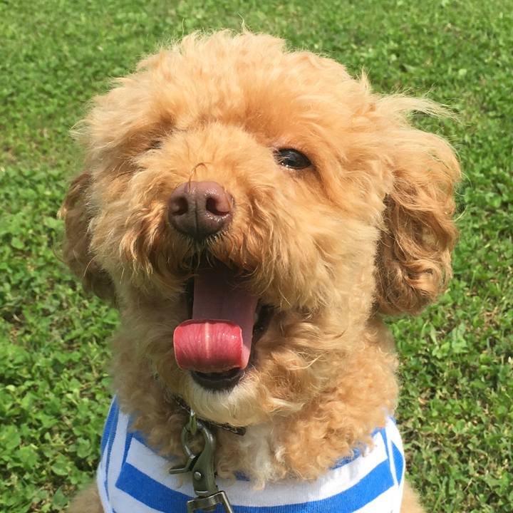 Cde09464 a444 4455 b746 b16a9bbd0fa3 1529668912251