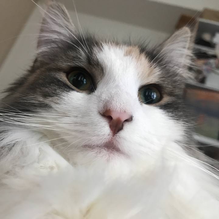 Cde0b54a 1497 4ee9 b767 3ab22d68cc81 1516432418727