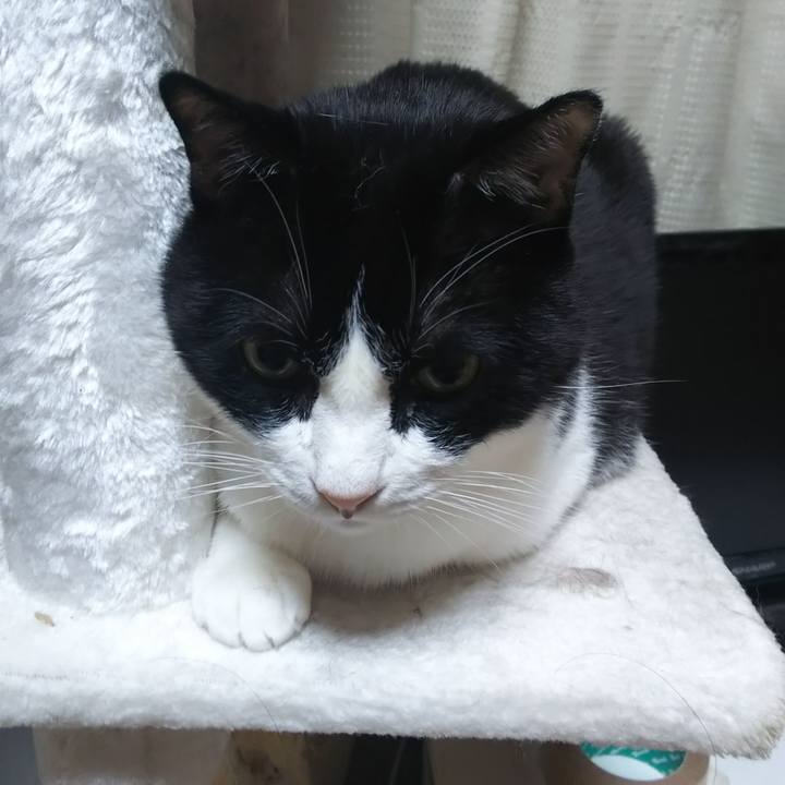 Cde0b7b0 ad27 4954 9ebe 88878064607d 1572852127123