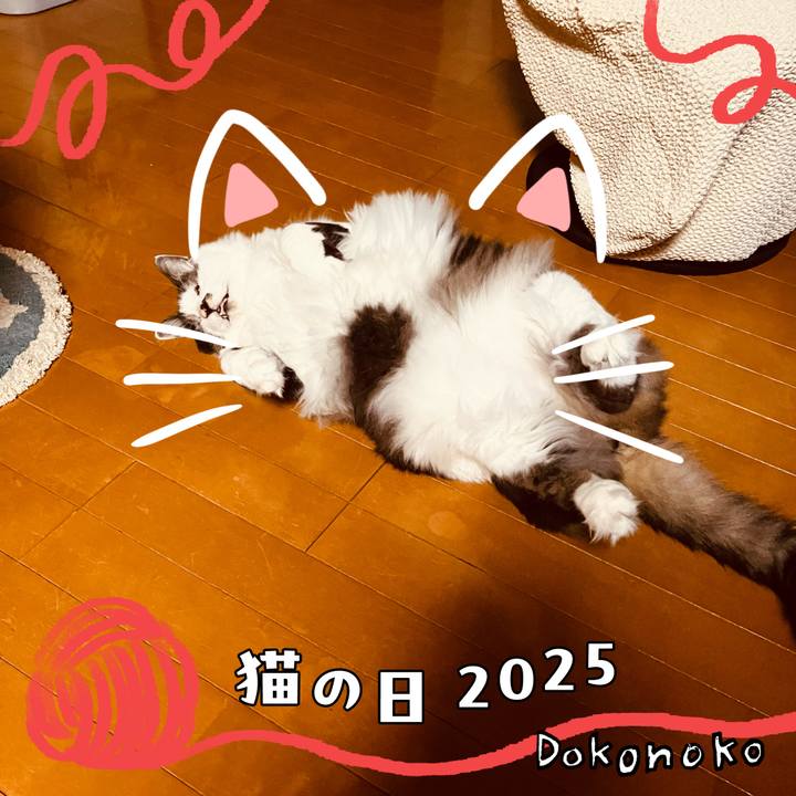 Cde0f77f 5cf6 4fdc 80f4 f0c34868ab73 1740491094326