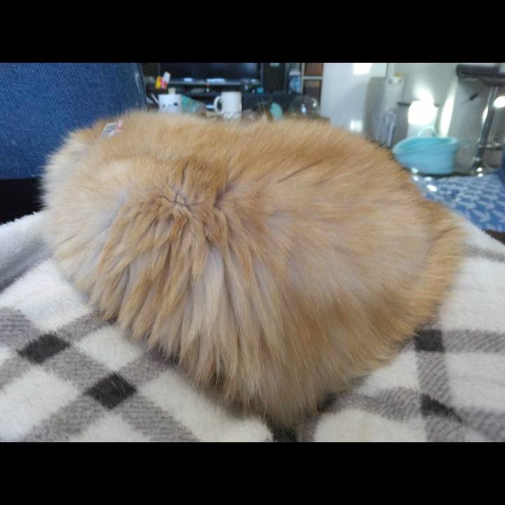 Cde1023b 96d9 4a6a a4d5 13950fb510a2 1700385507173